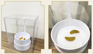 自動擲筊機系統